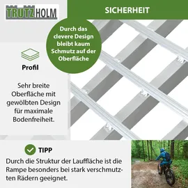 Trutzholm Auffahrrampe 230 cm 1360 kg klappbar Aluminium geriffelt silber 2 St.