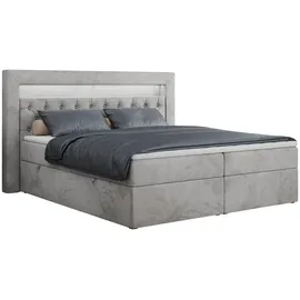 MKS Boxbett, GOLD-6 Led, 140/200 Hellgrau Velvet - H3