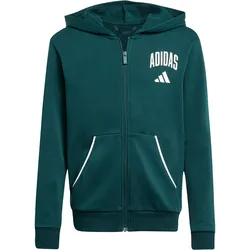 Adidas Seasonals Essentials Collegiate Typography Sweatjacke Kinder - grün 164