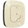 Legrand Wandsender Rollladen 752691