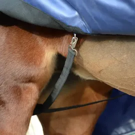 Bucas Smartex Rain