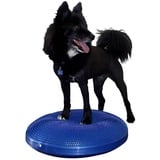 Fitpaws Balance-Scheibe für Haustiere 56 cm Blau