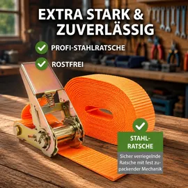Trutzholm Spanngurte 6 m 1000 kg 5 Stück
