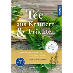 Tee aus Kräutern und Früchten