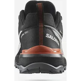 Salomon X Ultra 360 GTX Herren Quiet Shade/Black/Spice Route 47 1/3