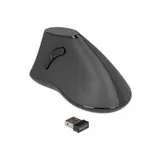DeLock Ergonomic Vertikale Maus Schwarz