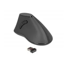 DeLock Ergonomic Vertikale Maus Schwarz