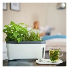 Gusta Garden Anzuchtsgefäß Harry Herbs 5 L hellgrau