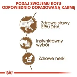 Royal Canin Ageing +12 in Soße 12 x 85 g