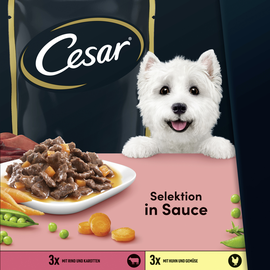 Cesar Selektion Fleisch und Gemüse in Sauce 12 x 100 g