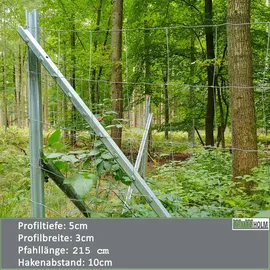 Trutzholm Z-Profil Zaunpfosten 215 cm verzinkt 10x Zaunpfähle inkl. Haken Forstprofil