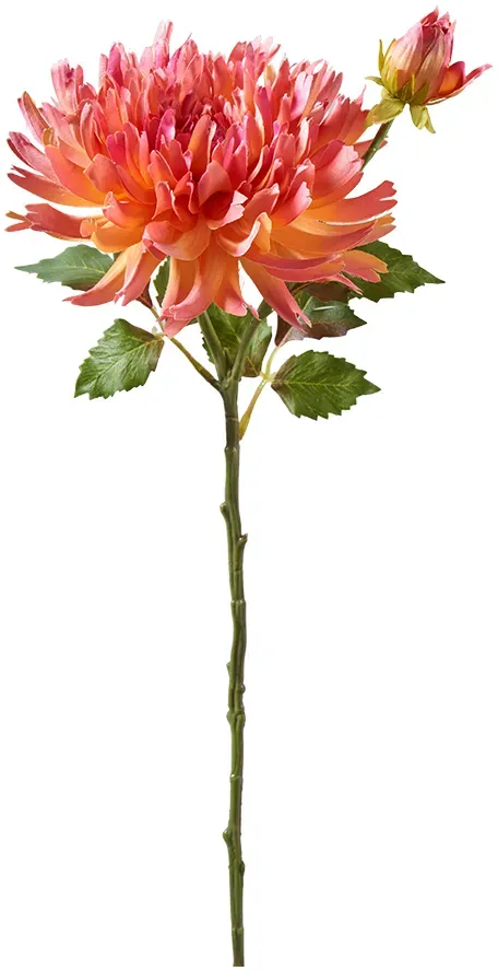Dahlie 54cm pink/or.