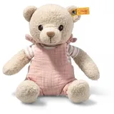 Steiff Teddybär 26cm 242663