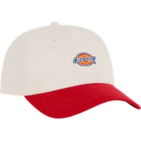 Dickies Hardwick Two Tone Kappe - Egret - One