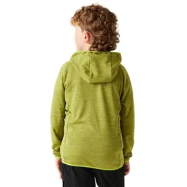 Dare 2b Expedition Jacke Golden Cypress 158