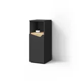 livinity Livinity® Midischrank Anthrazit, Anthrazit, Holzwerkstoff, 3 Fächer, Rechteckig, 30x74.5x35 cm mit Tür und offenem Fach