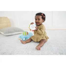 Skip Hop Explore - More Nachziehspielzeug Dinosaurier, 3in1