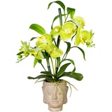 Creativ-green Kunstblume Orchideen-Bambus-Mix, grün, Arrangement im Zementtopf Buddha,