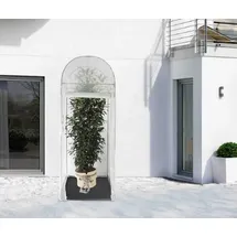 Videx Überwinterungszelt Palmen Palm Protect 250 x 100 cm transparent
