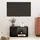 vidaXL TV-Schrank 60x24x32 cm Schwarz Holzwerkstoff