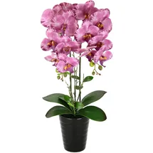 I.GE.A. Künstliche Orchidee im Topf Kunstorchidee Blume Kunstblumen Kunst Orchidee Kunstorchidee Phalaenopsis Kunstpflanze wie echt Hochzeit Deko Seidenblume Real Touch Blüte Tischgesteck Seidenblume