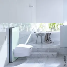 Geberit Monolith für Wand-WC 101 cm Glas Mint