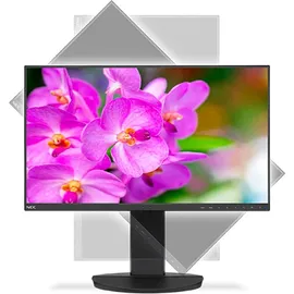 NEC MultiSync EA241F-BK 24"