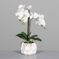 DPI künstliche Orchidee weiß H. 50cm in cremefarbenen Keramiktopf Kunstblumen