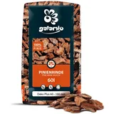GALAMIO Pinienrinde Deko Plus 60-100mm 60l Sack 1 Paket Pinienmulch Pinienerde Rindenmulch Pinienborke Pinie Mulch Bark Rinde Für Pflanzen Garten Terrarium Dekorativer Bodenbelag Paligo
