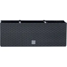 Prosperplast Blumenkasten Rato 60 x 24,5 x 24 cm anthrazit