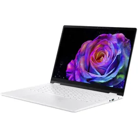 Acer Swift Edge 14 AI OLED SFE14-51T-75RZ Intel Core Ultra 7 258V 32 GB RAM 1 TB SSD