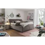 Set One by Musterring Boxspringbett »Fairfield«, mit Metallfuß schwarz, Wendematratze, Breite 160 oder 180 cm braun