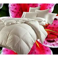 Hofmann Canada Ganzjahres Daunendecke Daunenbett 4x6 135x200 1000g 100% Daunen