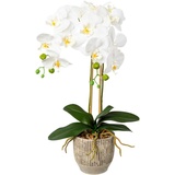 Creativ green Kunstorchidee »Orchidee Phalaenopsis im Keramiktopf«, weiß