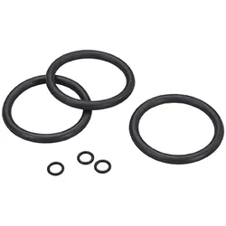 Grünbeck Dichtungssatz für Filter FS und FSD 1 1/4 Zoll - 2 Zoll Feinfilter 3er Set