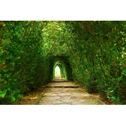 Fototapete PAPERMOON "Gartenweg", bunt, B:4,50m L:2,80m, Vlies, Tapeten
