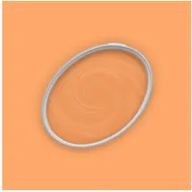 A.S. Creations Wandfarbe Pure Papaya orange matt 2,5 l