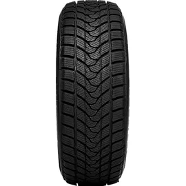 Delinte WD1 195/55 R15 85H
