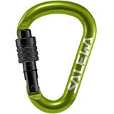 Salewa HMS-Karabiner Grün