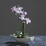 Orchidee-Phalaenopsis in Keramikschale Kunstblume Kunstpflanze, 27 cm, flieder