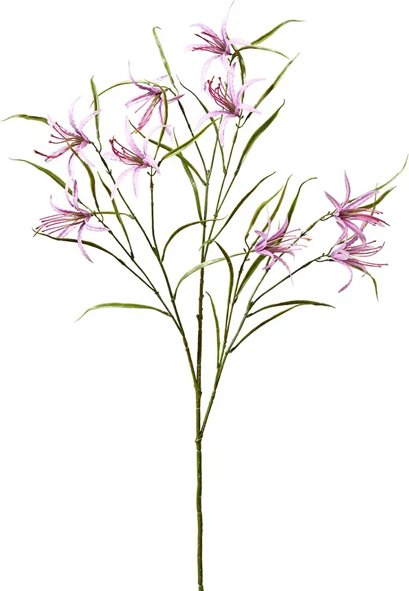 Lilie 102cm x3 lavendel