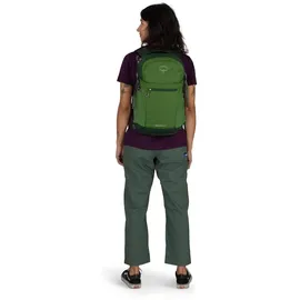 Osprey Daylite Plus green belt/green canopy