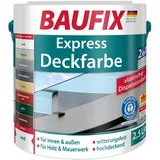 2in1  Express Deckfarbe mittelgrau 2,5 Liter 2er Set
