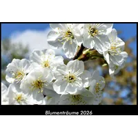 Vero Kalender Blumenträume 2026 Fotokalender DIN A3 von Tobias