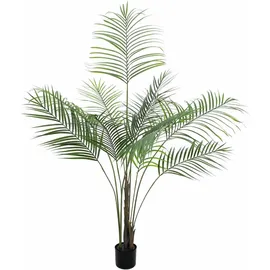 Europalms Großblatt-Areca, 185cm