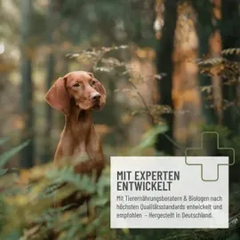 reavet Karottenflocken 1 kg