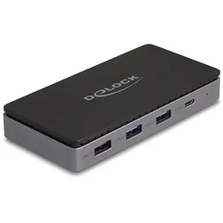 Delock Dockingstation - USB-C / Thunderbolt 3 / Thunderbolt 4