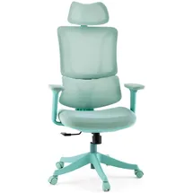 MyBuero Ergomy Colore Stoff Türkis