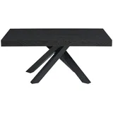 vente-unique Ausziehtisch 6 bis 10 Personen schwarz