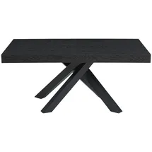 vente-unique Ausziehtisch 6 bis 10 Personen schwarz